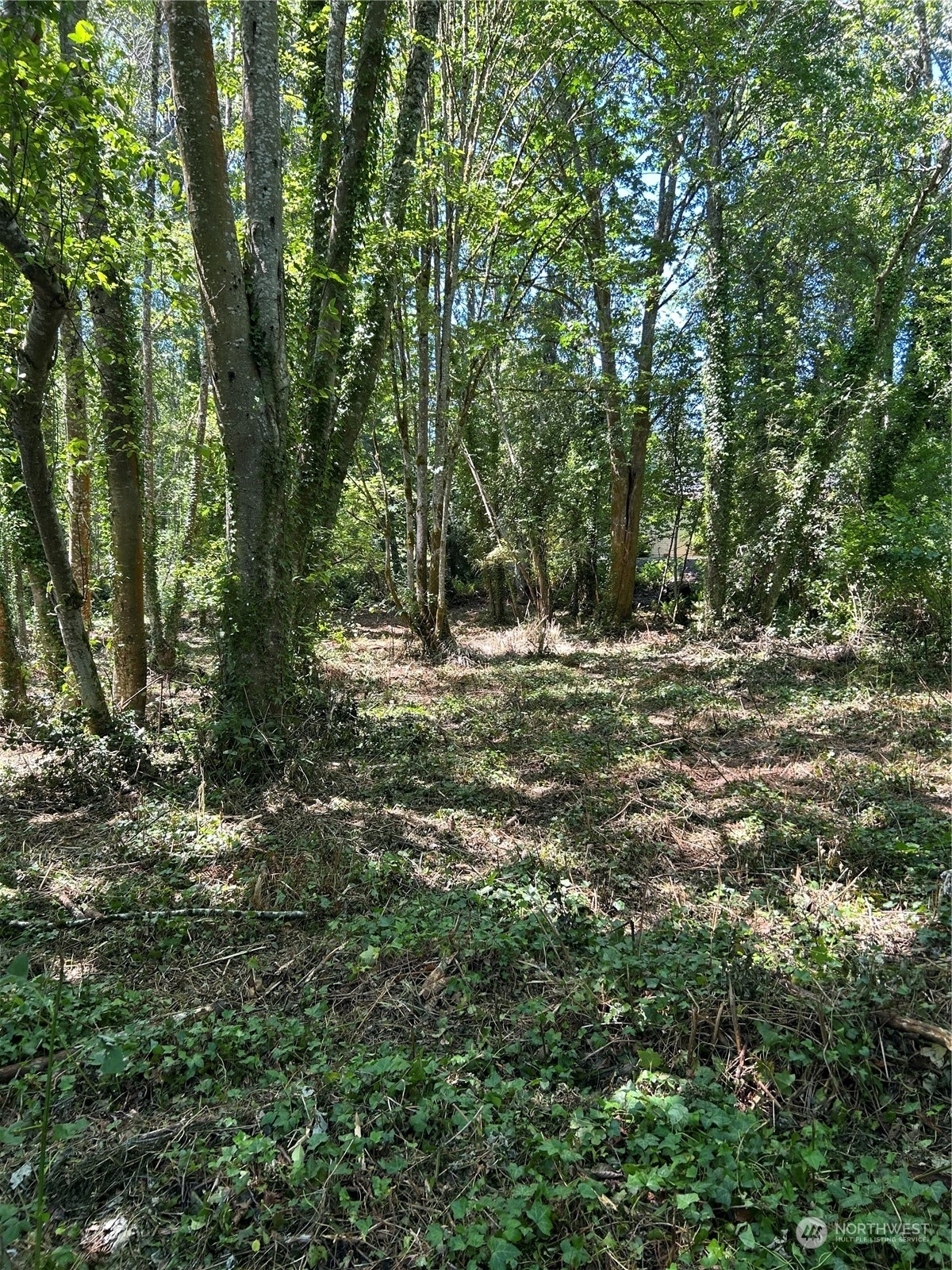 Property Photo:  0 Lot A, B Brockton Avenue  WA 98392 