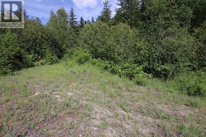 Property Photo:  5959 Highway 23 Other  BC V0G 1R1 