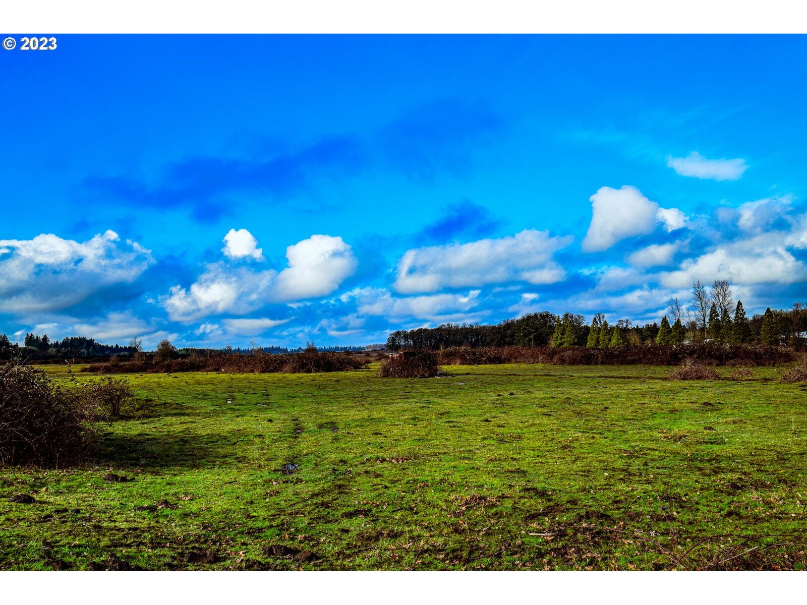 Property Photo: 39135 Mount Hope OR 97355