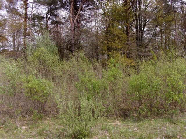 Property Photo:  2745 Serenity Pines Drive  MI 49408 