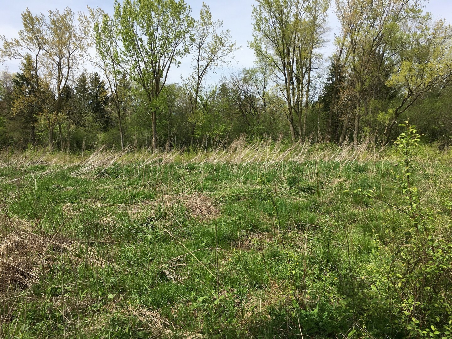 Property Photo:  Lot 4 E Mundhank Road  IL 60010 