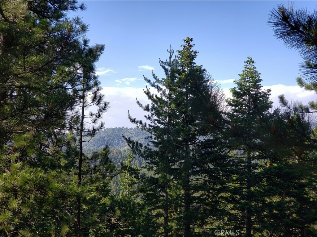 Property Photo:  0 Rimwood Road  CA 92382 