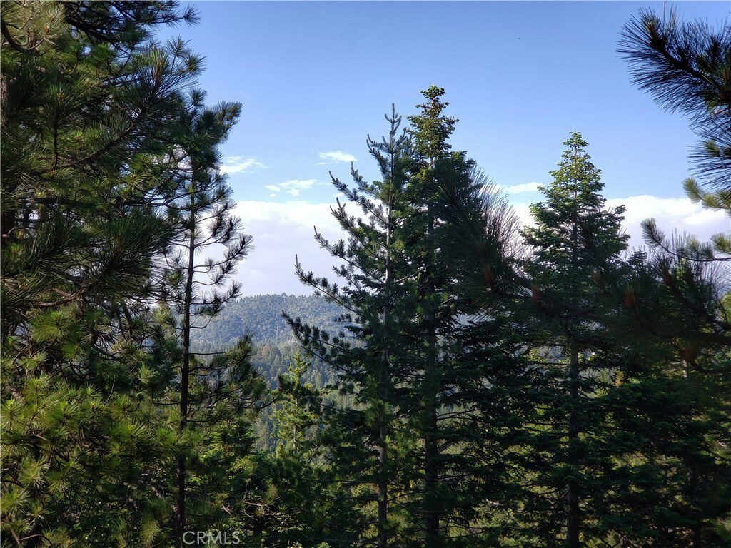 Property Photo:  0 Rimwood Road  CA 92382 