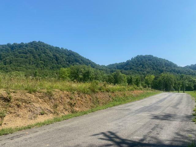 Property Photo: Lot 1 County Road 477 TN 37329