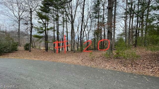 Property Photo: Lot 20 Woods Haven Lane VA 24171