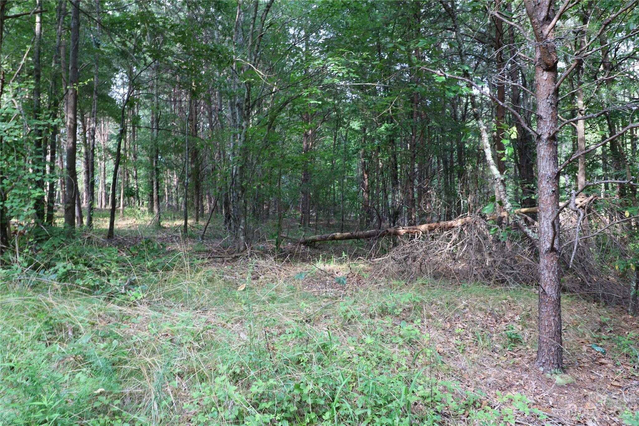 Property Photo:  Lot 29 Whispering Pines Circle  NC 28043 