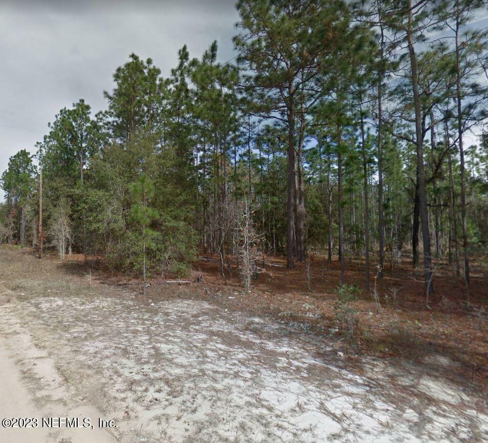 Property Photo: Lot 47 River Street FL 32148