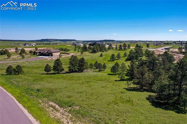 Property Photo:  11556 Bison Meadows Court  CO 80908 