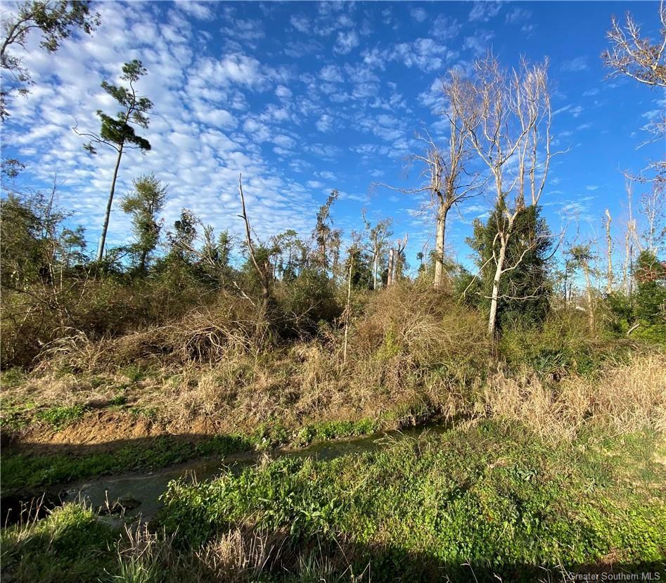 Property Photo:  Green Forest Road  LA 70669 