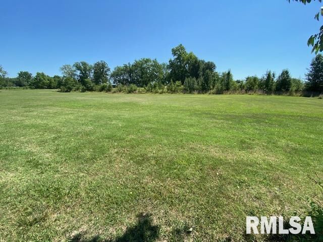 Property Photo: Lot 1 S Greenbriar Road IL 62918