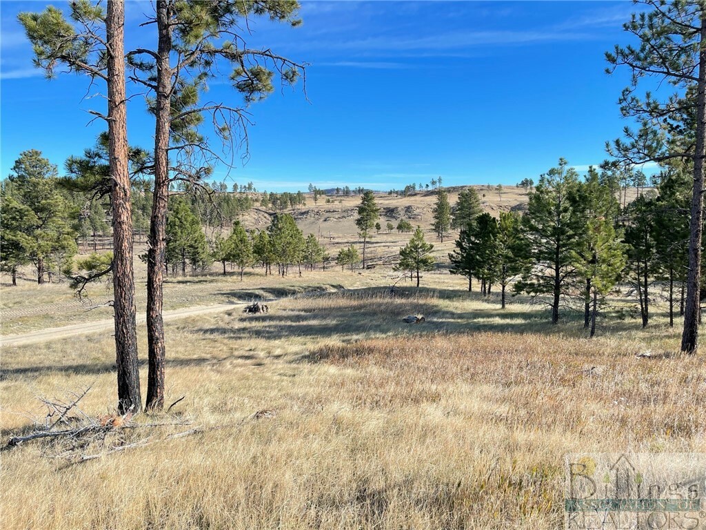 Property Photo:  Tbd Ridge Road  MT 59072 