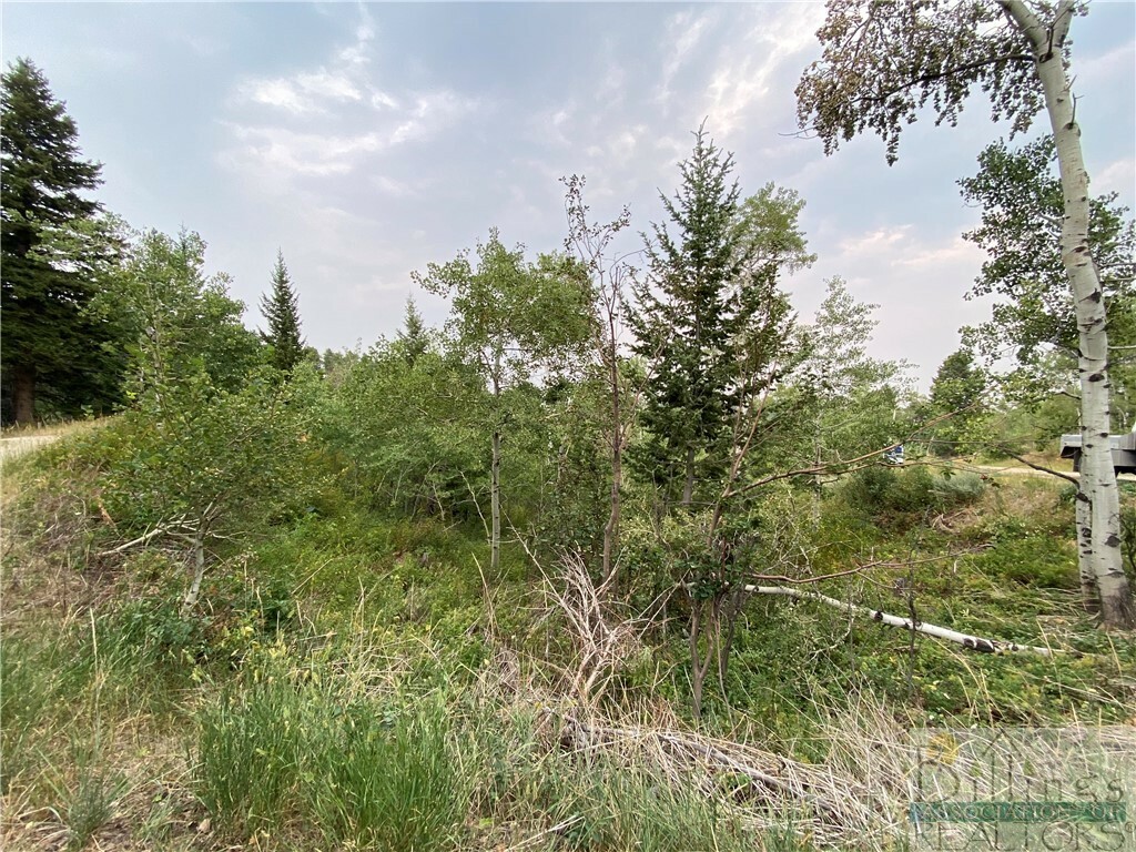 Property Photo:  Lot 10 Pineview Circle  MT 59068 