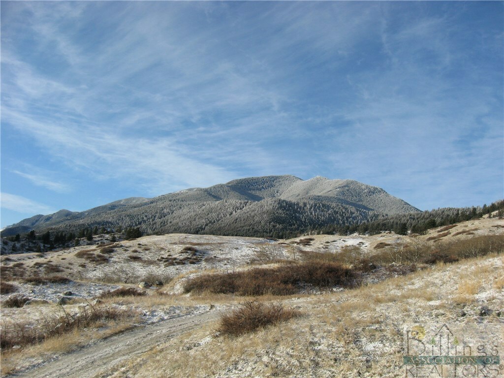 9 Elk Park Trail  Nye MT 59061 photo