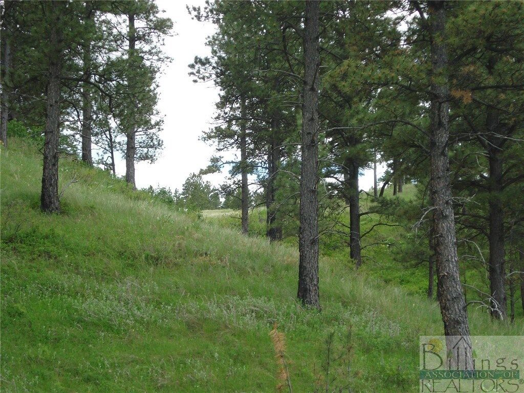 Property Photo: 000 Lost Lane MT 59072