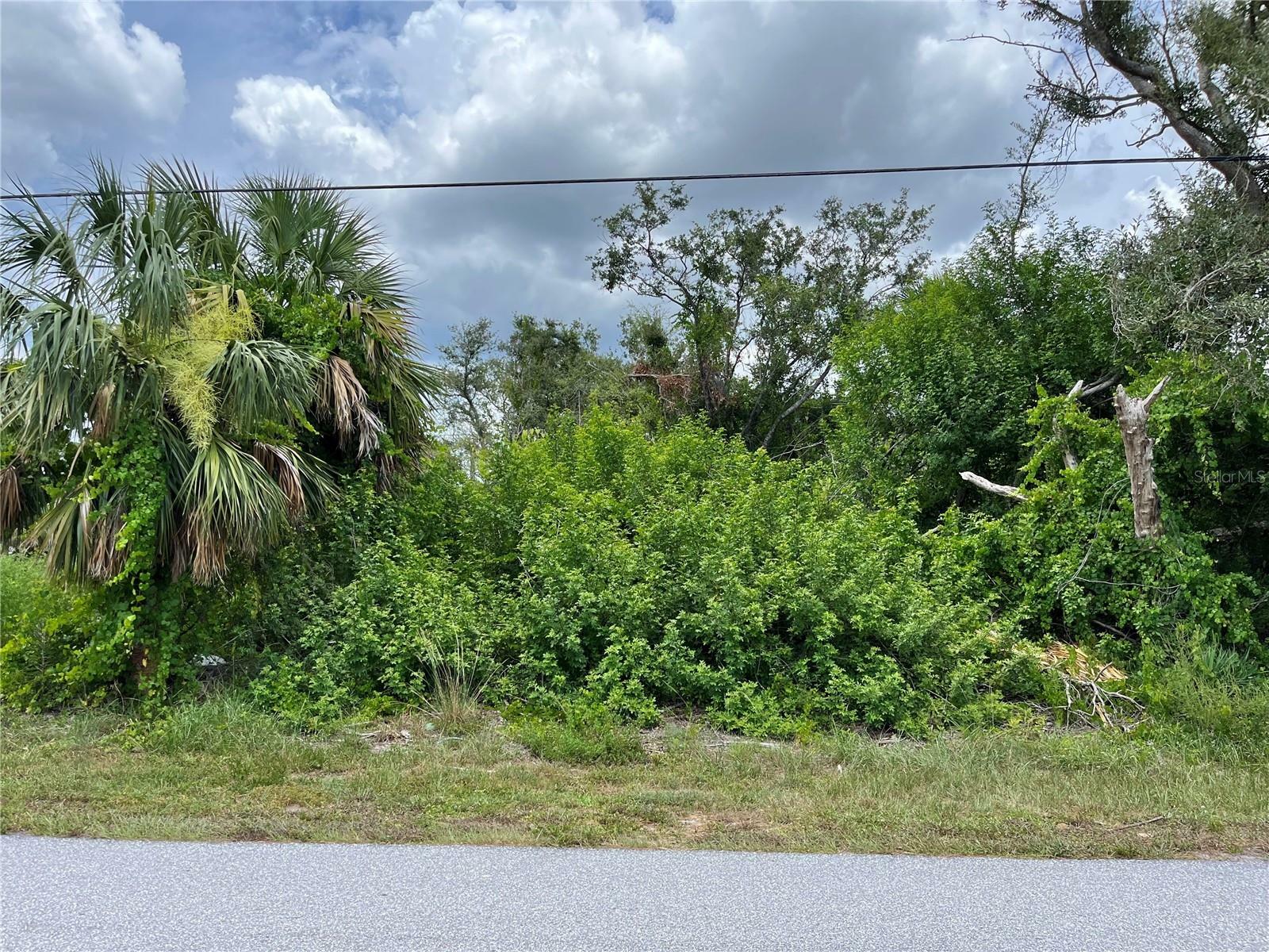 Property Photo: 272 Waterside Street FL 33954