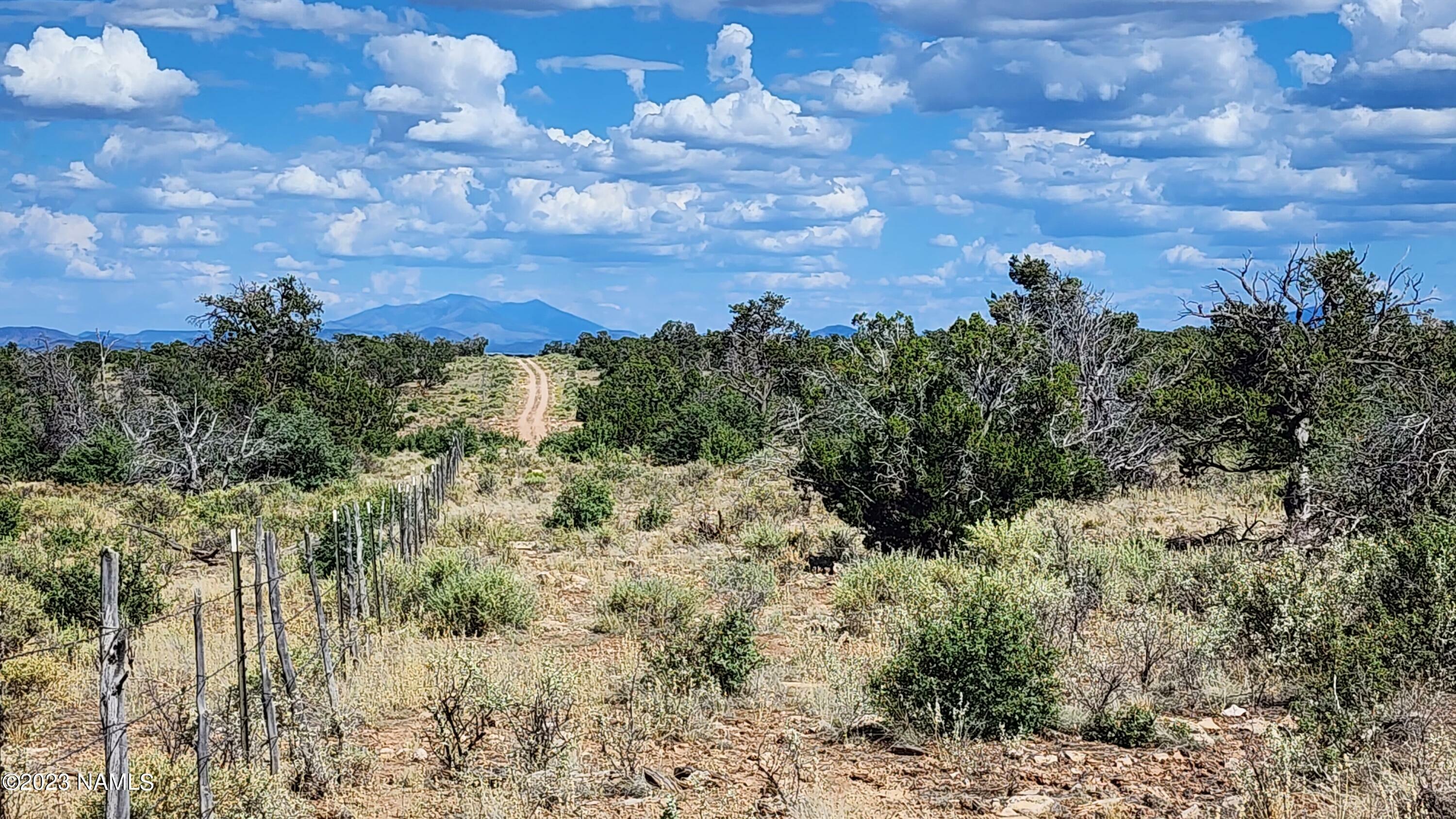 Property Photo:  10439 W Bright Sky Trail  AZ 86046 