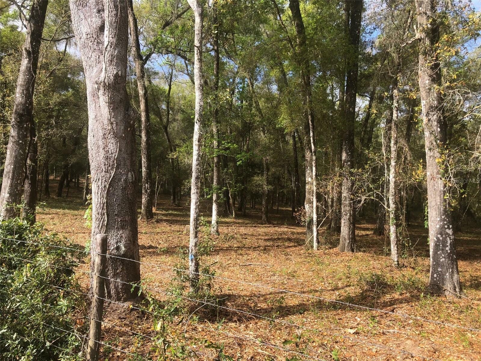 Property Photo:  11310 S Pleasant Grove Road  FL 34452 