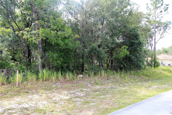 Property Photo:  0 Locust Pass Drive  FL 34472 