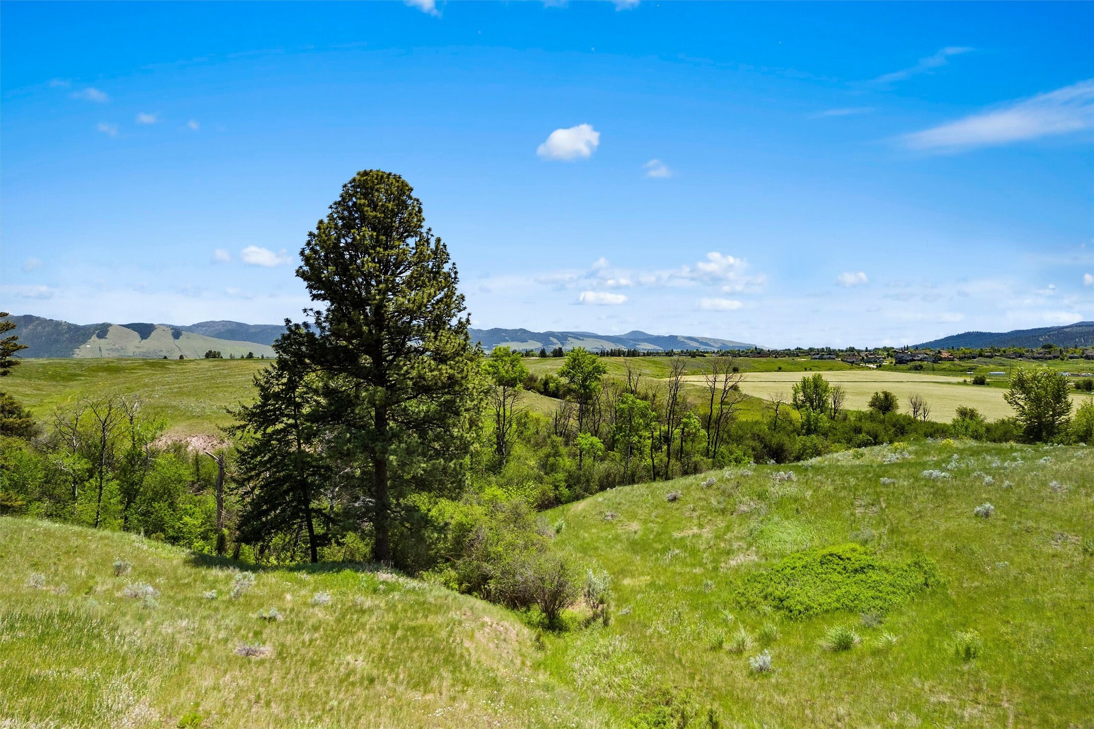 Property Photo:  4055 & 4085 Rooster Ridge Road  MT 59808 