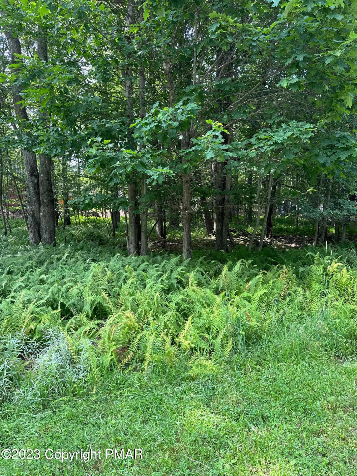 Property Photo: 4 Canoe Trail PA 18347