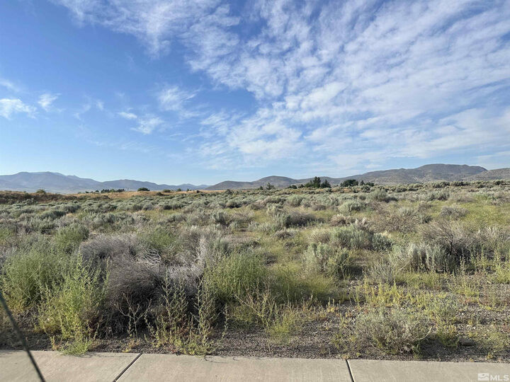 Property Photo:  02968239 Dayton Valley Road  NV 89403 