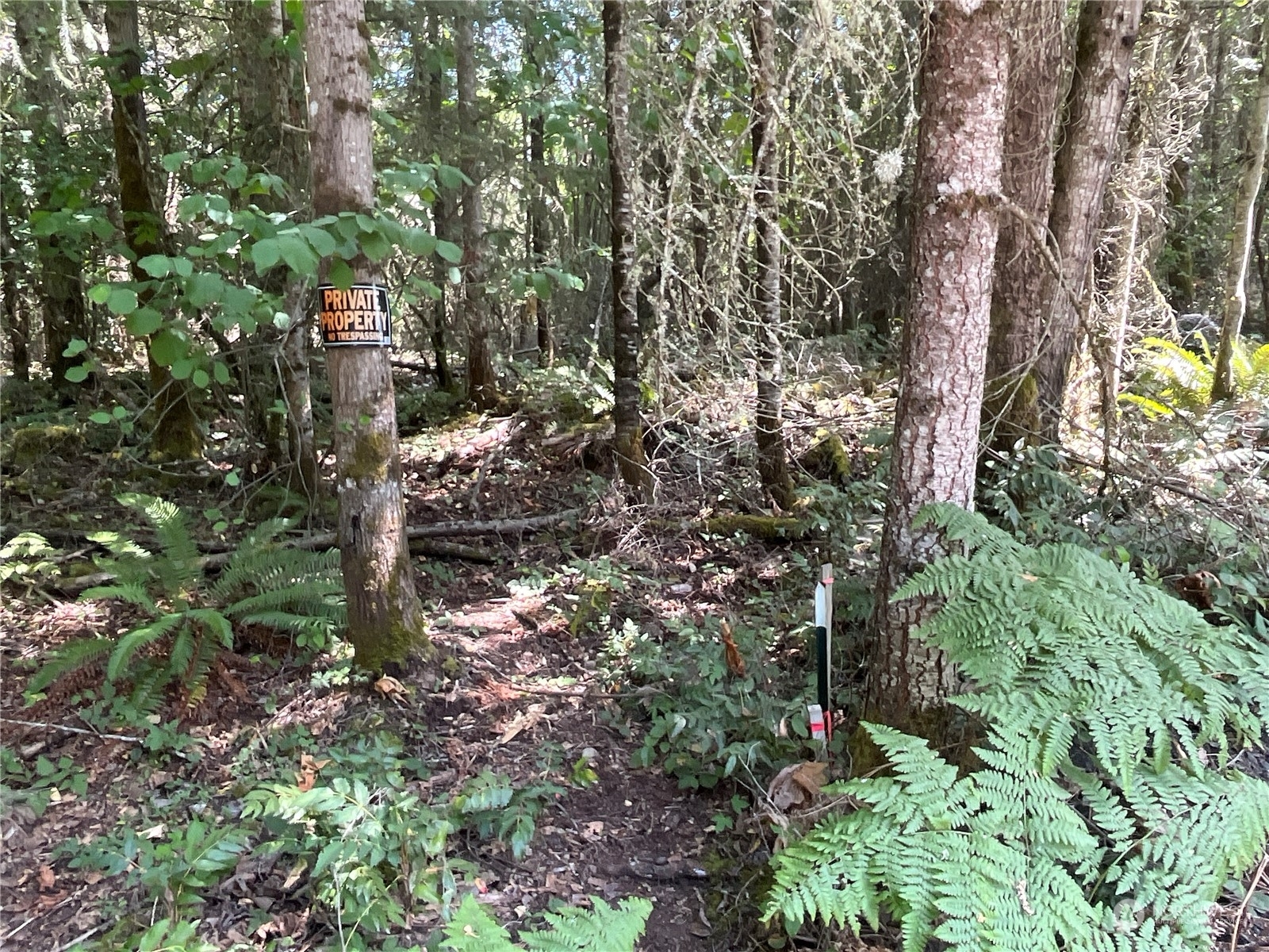 Property Photo: 16815 224 Avenue Ct E WA 98360