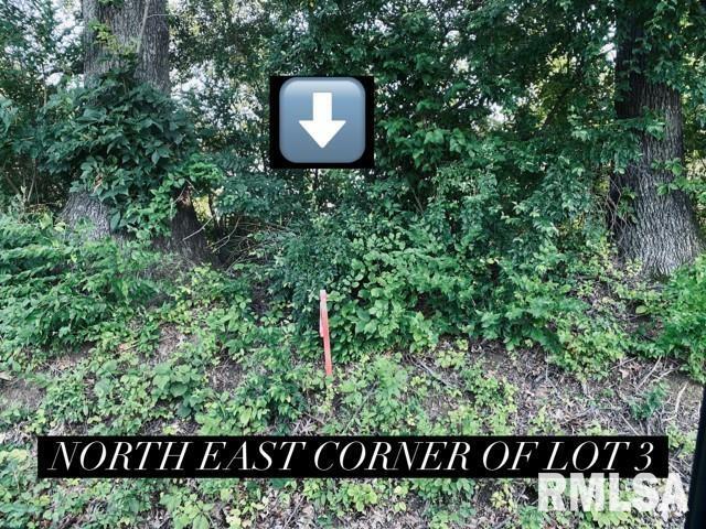 Property Photo: Lot 3 Falcon Road IL 62901
