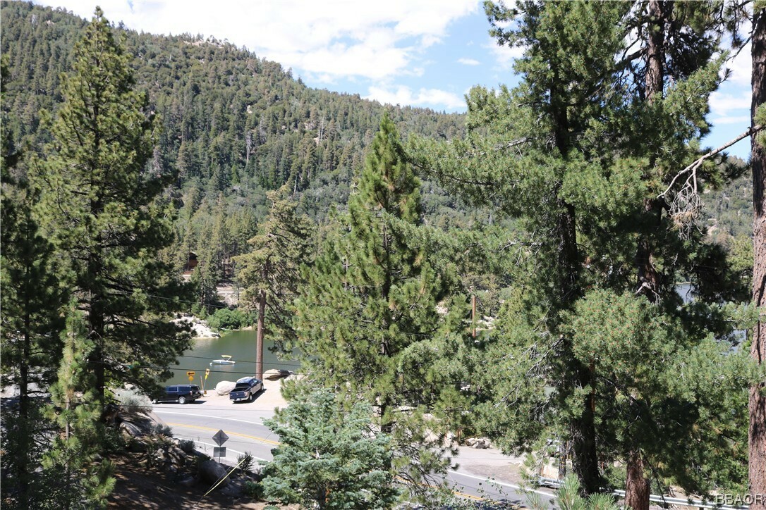 Property Photo:  382 Big Bear Trail  CA 92315 