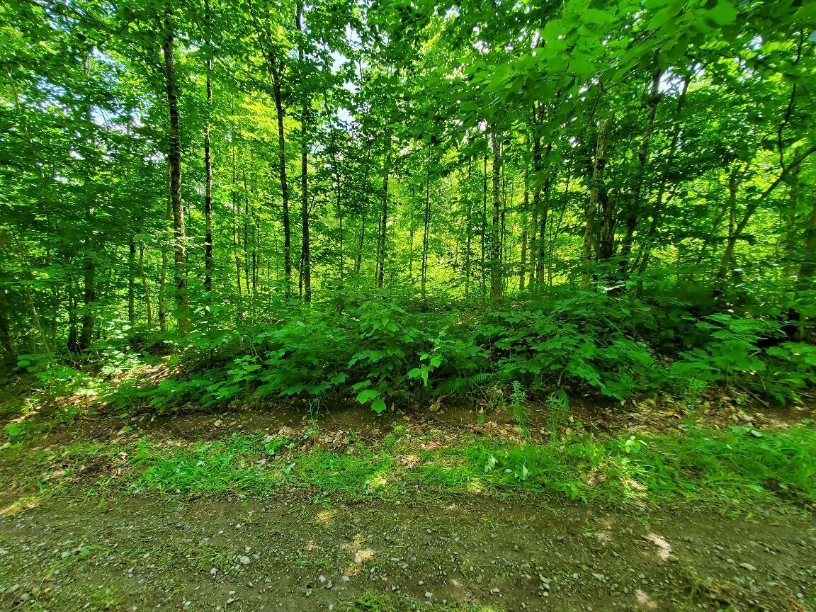 Property Photo:  0 Cone Road Lot 27  ME 04471 