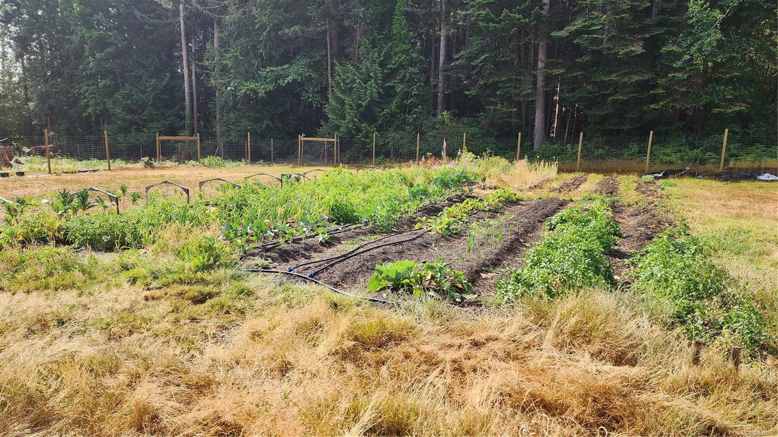 Property Photo: 6320 Island Hwy BC V9K 2E3