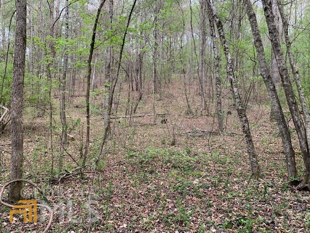 Property Photo: 0 Satcher Road GA 30178