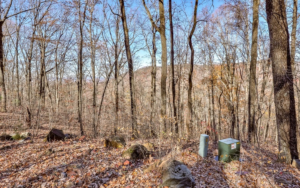 Property Photo:  Lot 9 The Hemlocks  GA 30536 