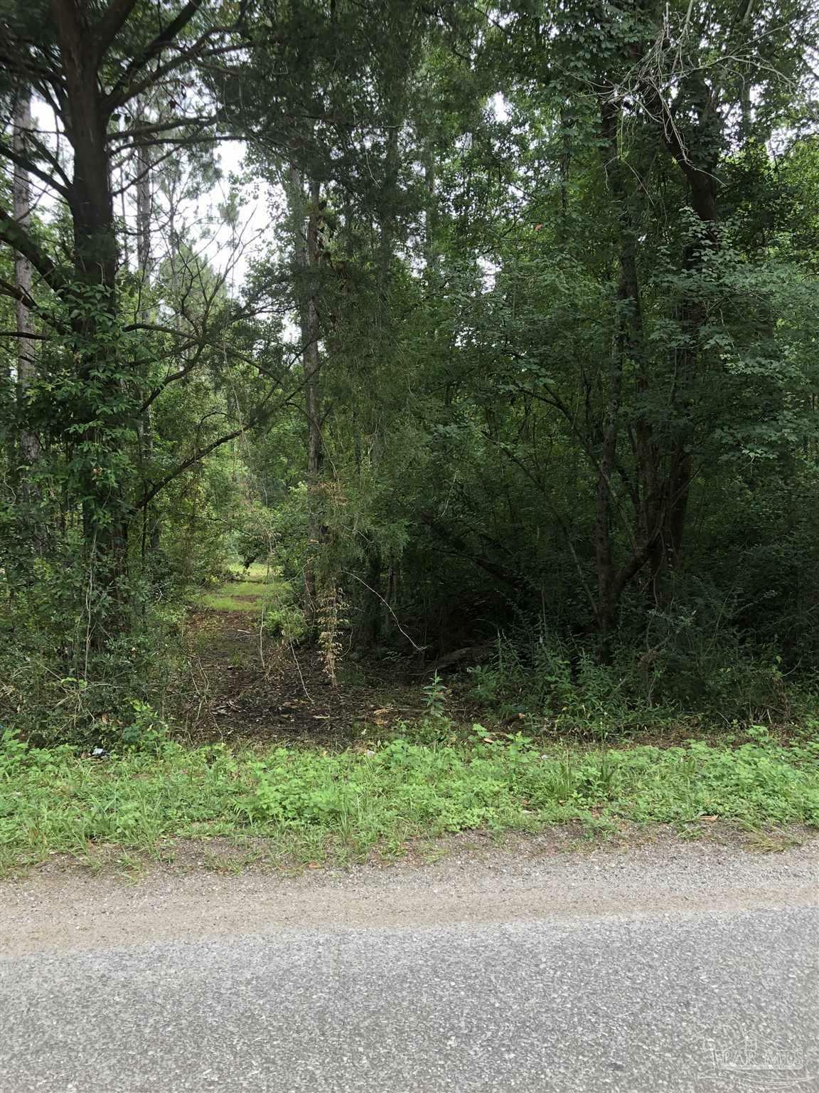 Lot 6 Virecent Rd  Cantonment FL 32533 photo