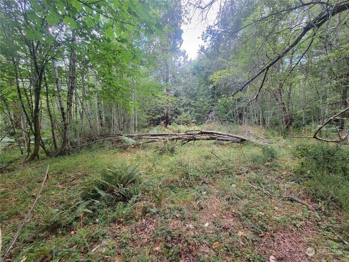 Property Photo:  930 E Wilson Way  WA 98546 