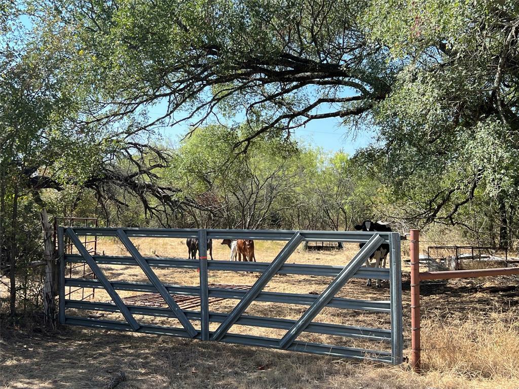 Property Photo:  Tbd County Rd 2480  TX 76649 