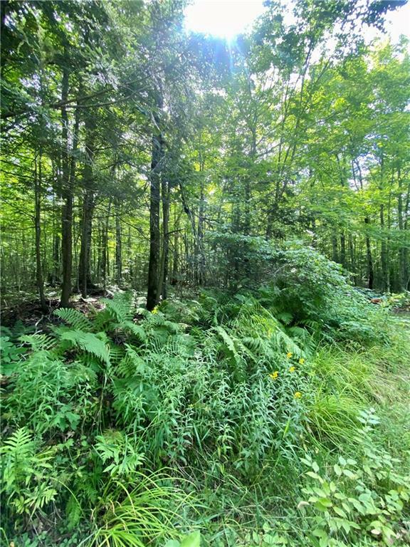 Property Photo:  0 Blueberry Fire Lane  WI 54867 