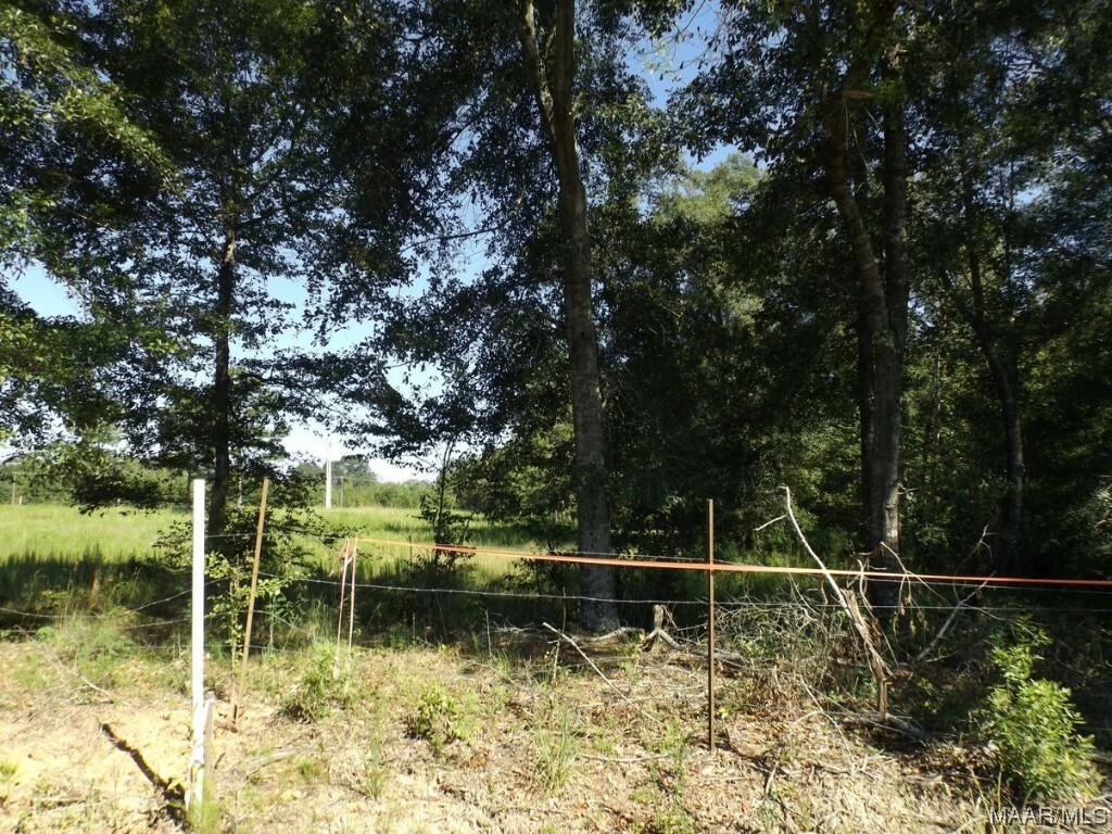 Property Photo:  1149 Baltzer Road  AL 36092 