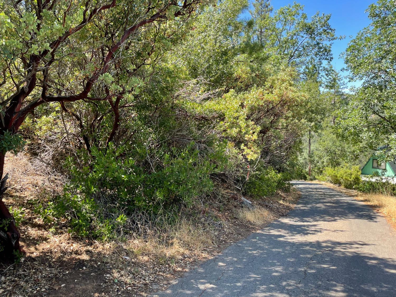 Property Photo:  0 Skyline Drive  CA 95379 