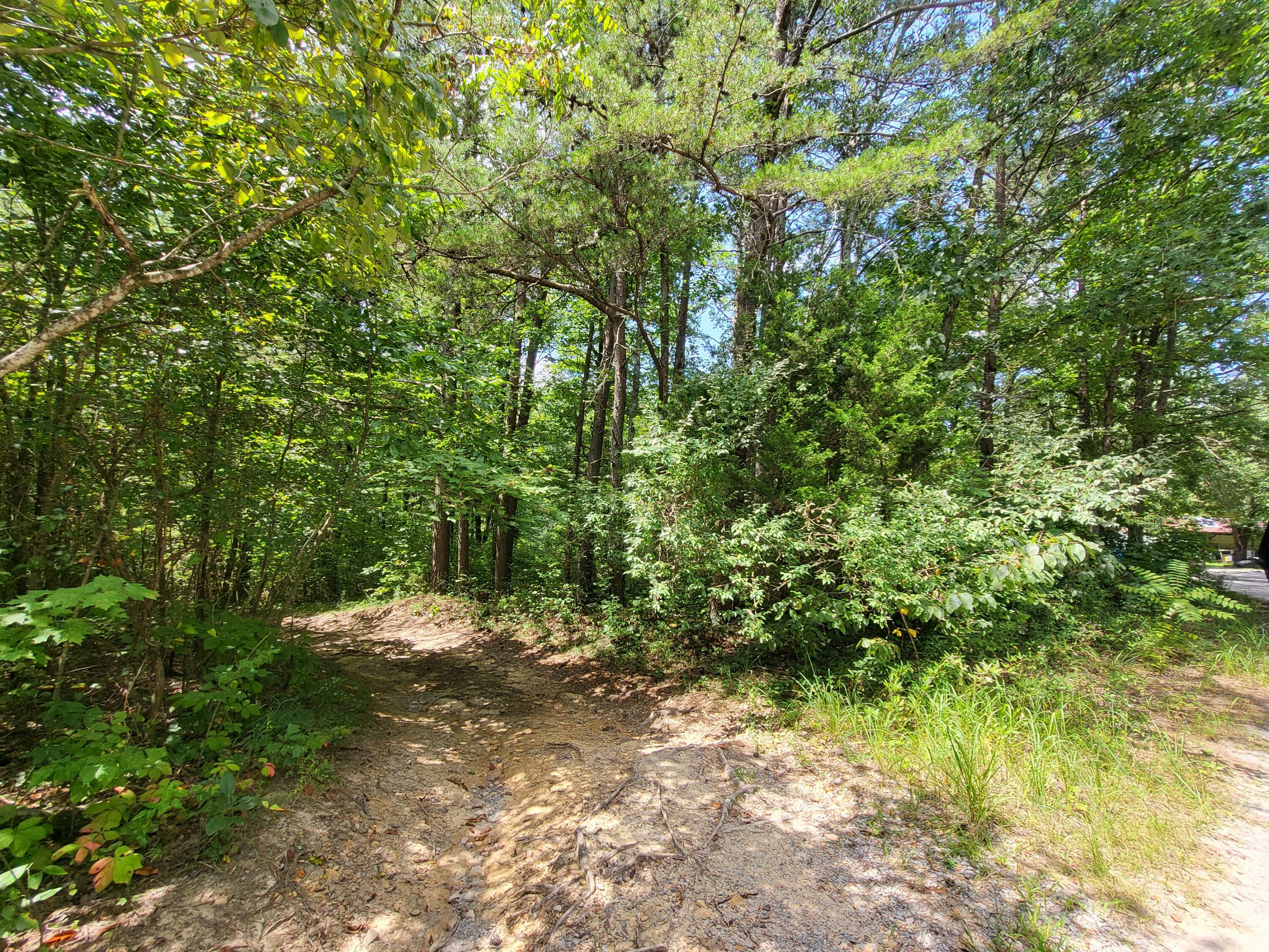 Property Photo:  0 S Bowater Rd 34.5 Ac  TN 37367 