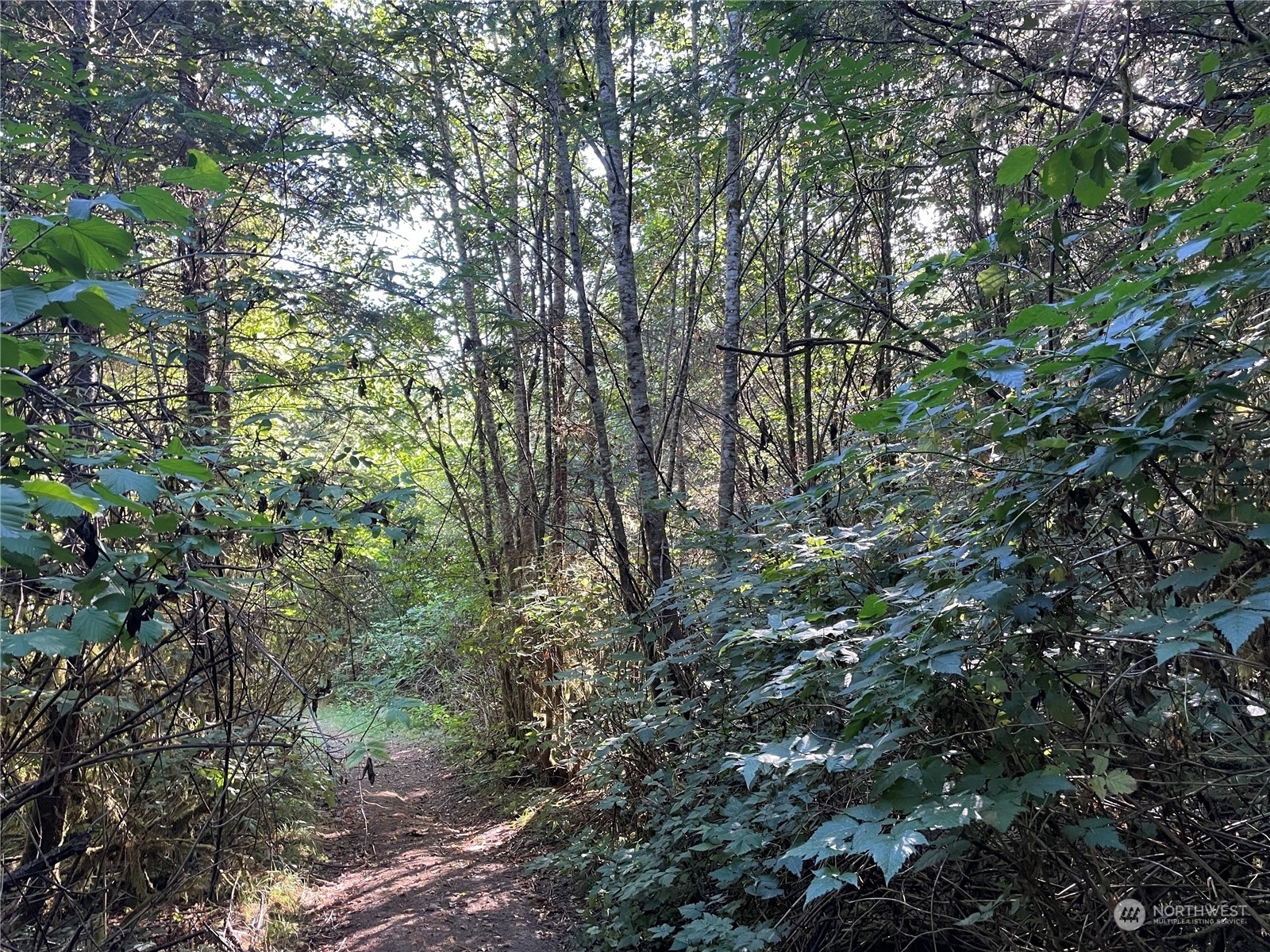 Property Photo: 0 Dixon Road WA 98611