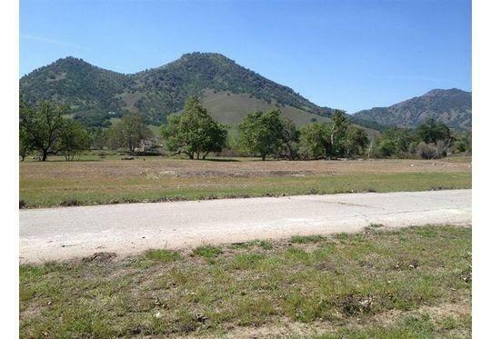Property Photo: 0 0 Gaston #95 Avenue CA 93657