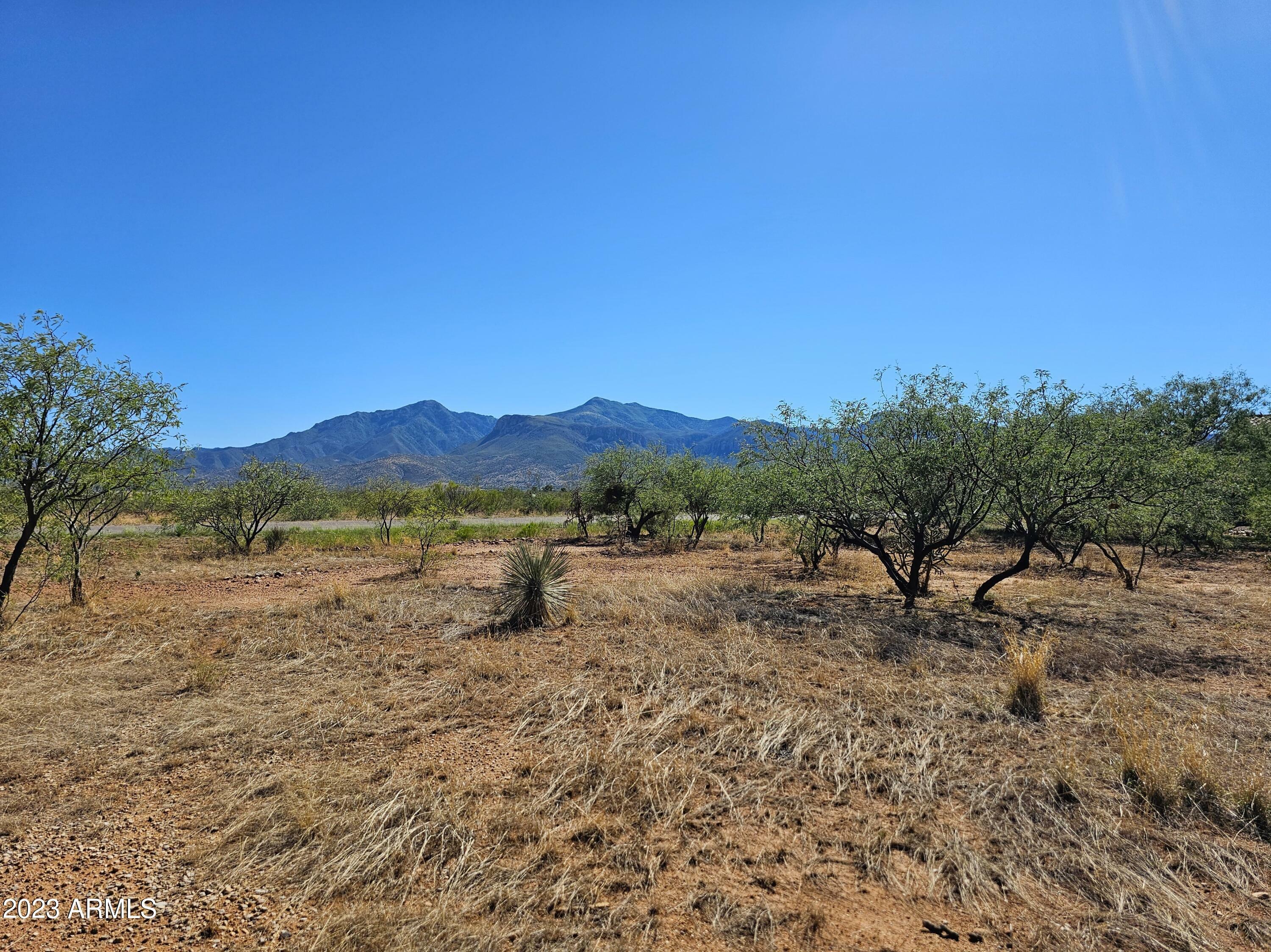 Property Photo:  Lot 85 E Sundrop Lane 85  AZ 85650 