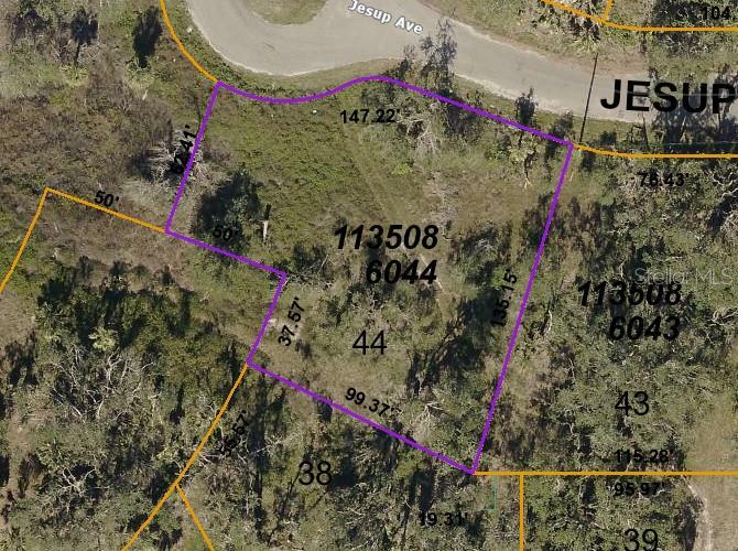Property Photo: Jesup Avenue FL 34288