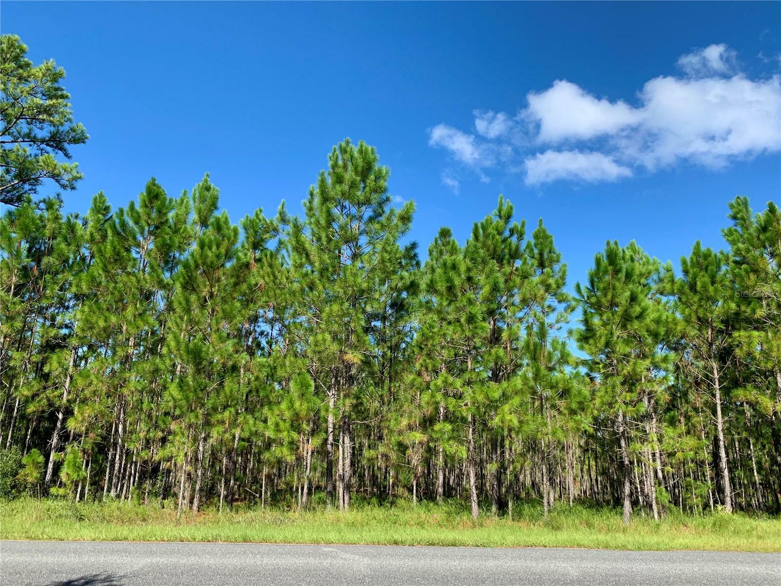 Property Photo:  Lot 8, 9 Jericho Trail  FL 32736 