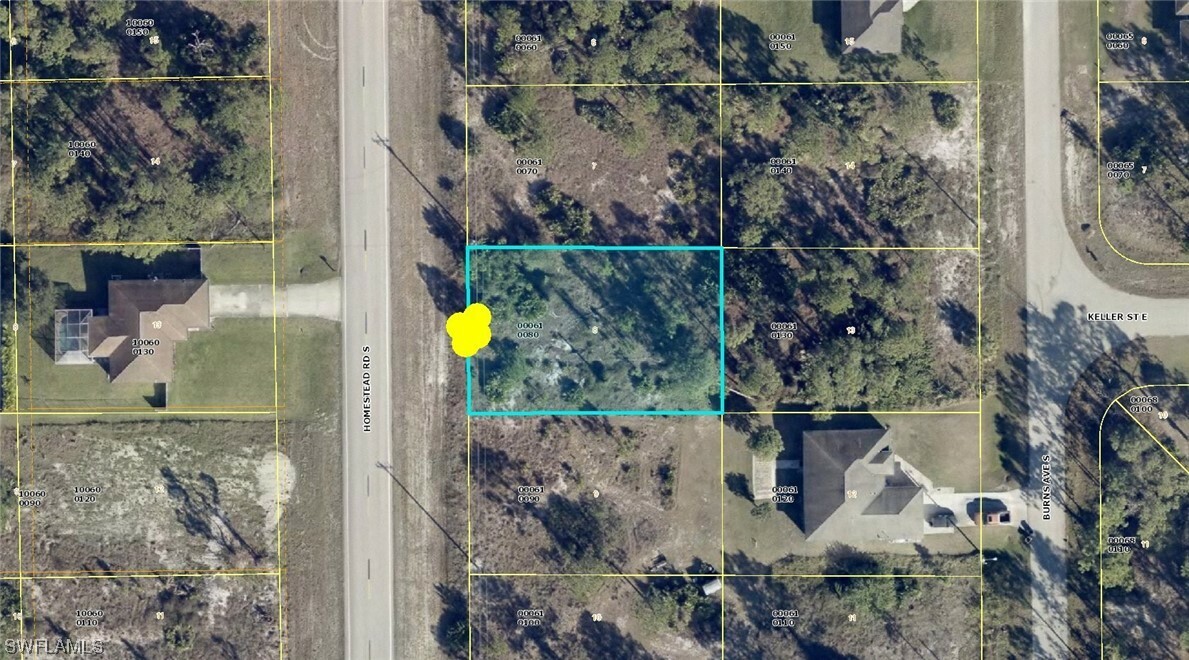 Property Photo:  817 Homestead Road S  FL 33974 