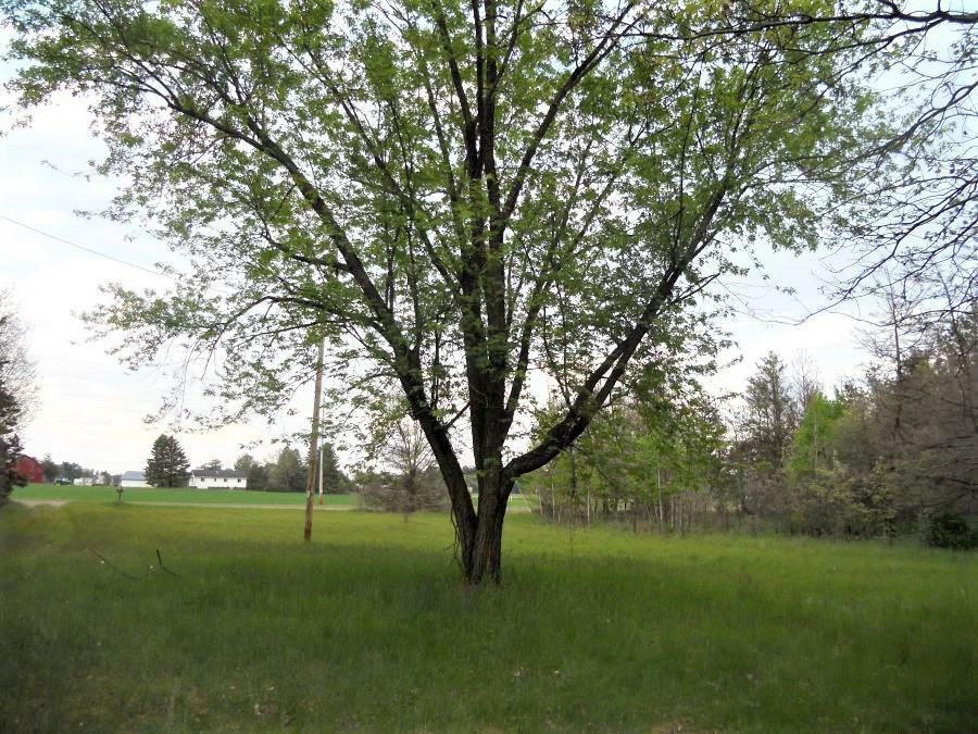 Property Photo:  N4327 County Road Hh  WI 53948 