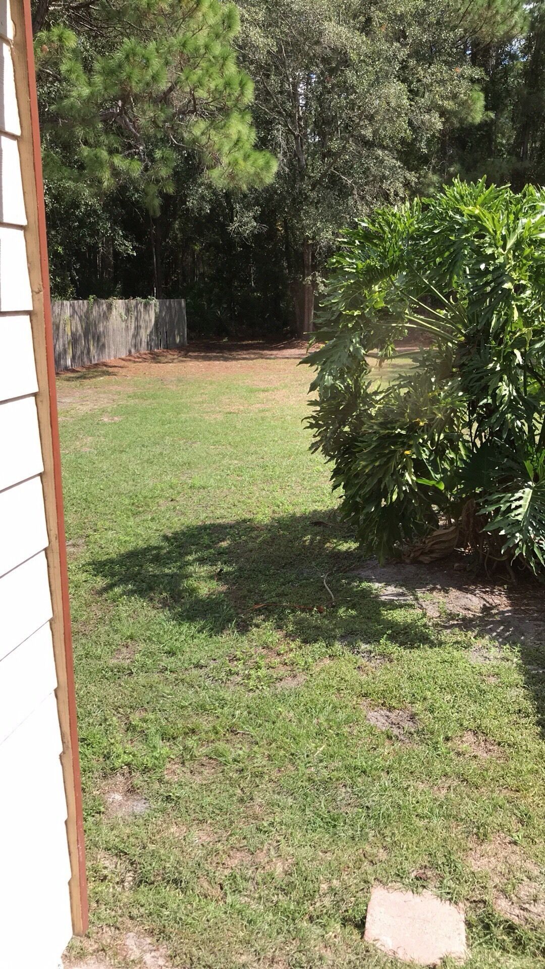 Property Photo:  206 Lisa Lane B  GA 31558 