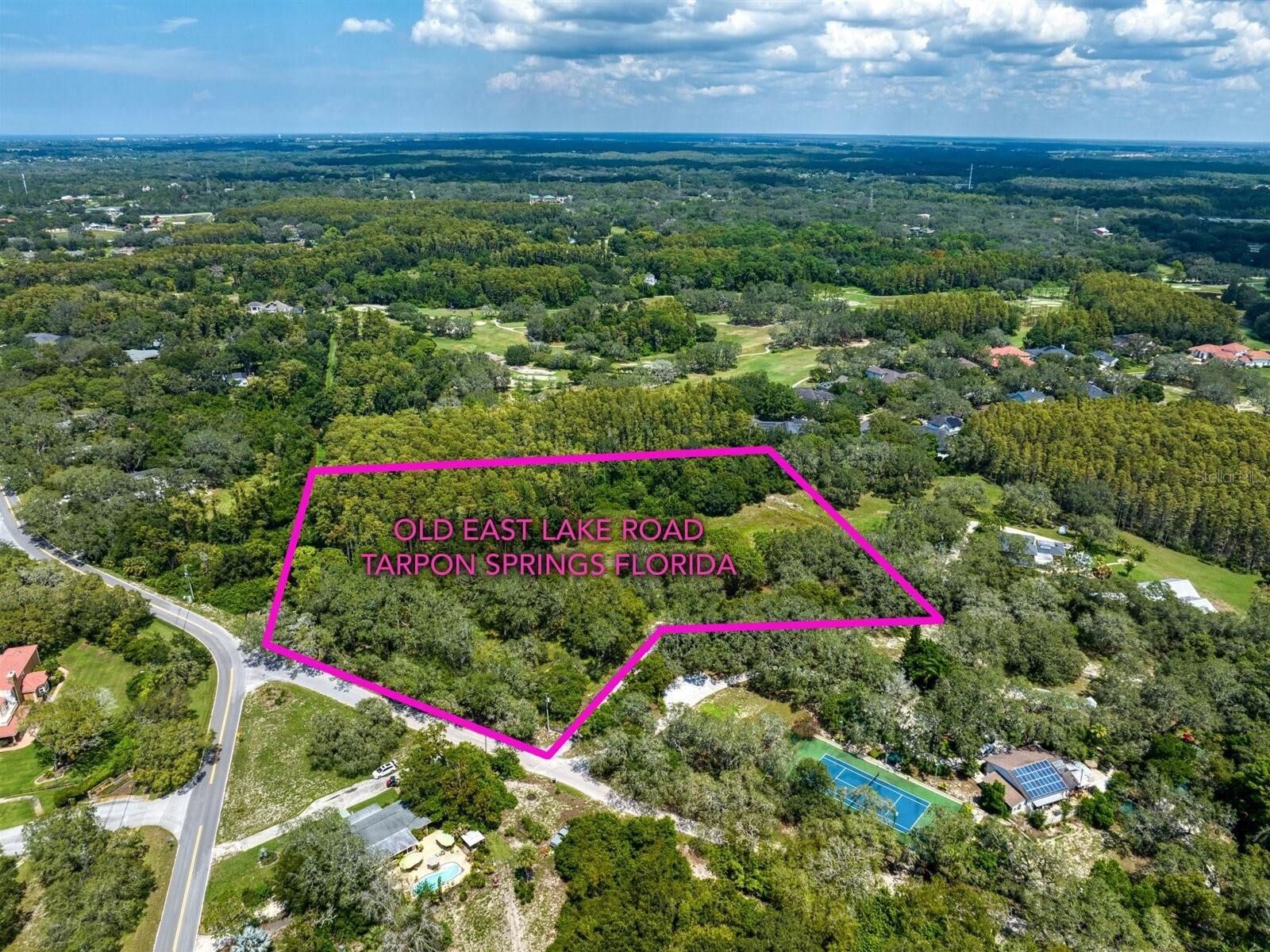 Property Photo:  Old East Lake Road  FL 34688 
