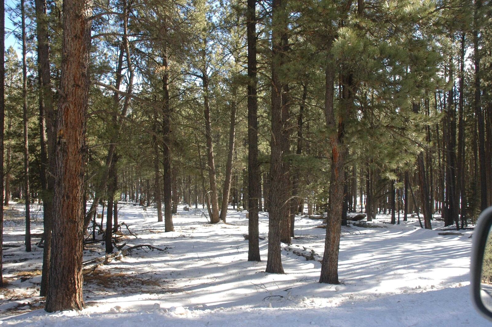 Property Photo: Lot 59 San Andres NM 87710