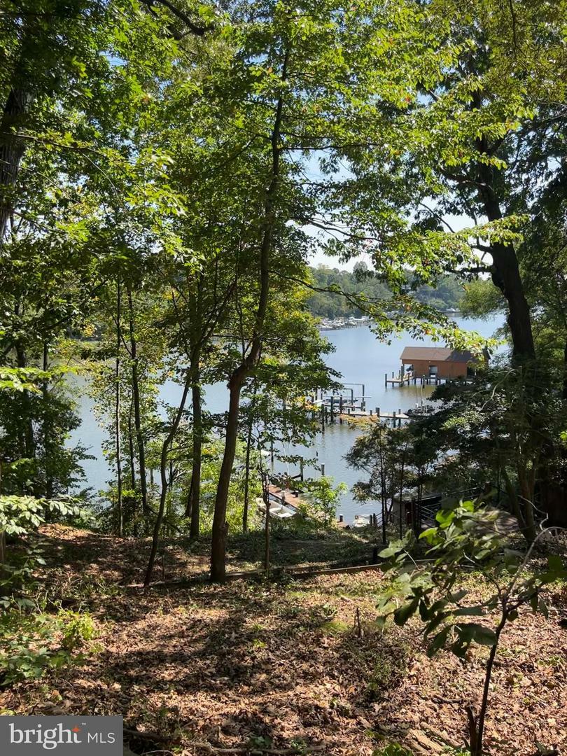 578 Pinewood Drive  Annapolis MD 21401 photo